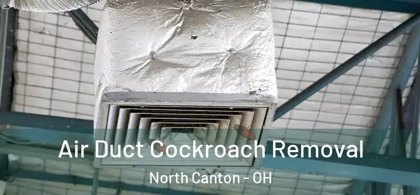  Air Duct Cockroach Removal North Canton - OH