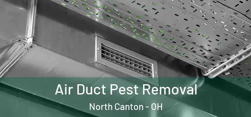 Air Duct Pest Removal North Canton - OH