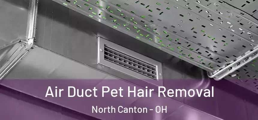 Air Duct Pet Hair Removal North Canton - OH