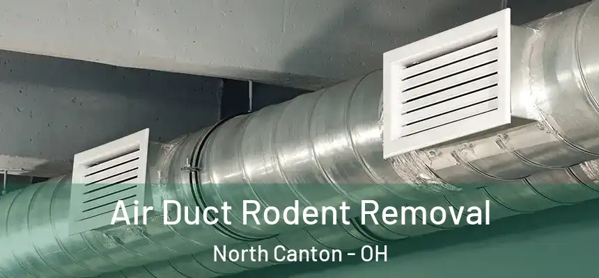 Air Duct Rodent Removal North Canton - OH