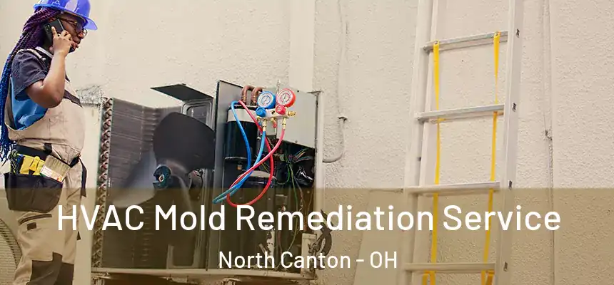 HVAC Mold Remediation Service North Canton - OH