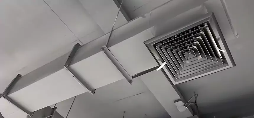 Our Pest Removal From Ducts Services in North Canton, OH