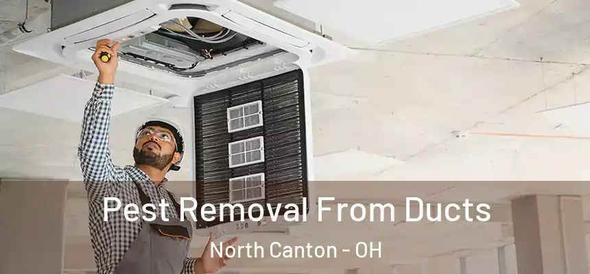 Pest Removal From Ducts North Canton - OH