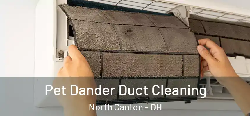 Pet Dander Duct Cleaning North Canton - OH
