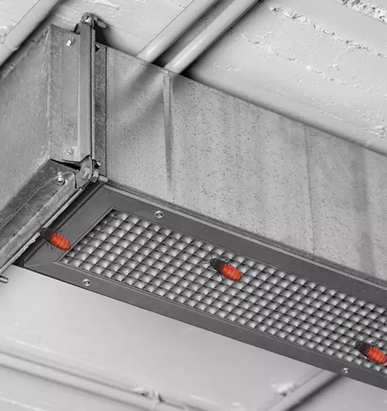 About Air Duct Cockroach Removal in North Canton, OH