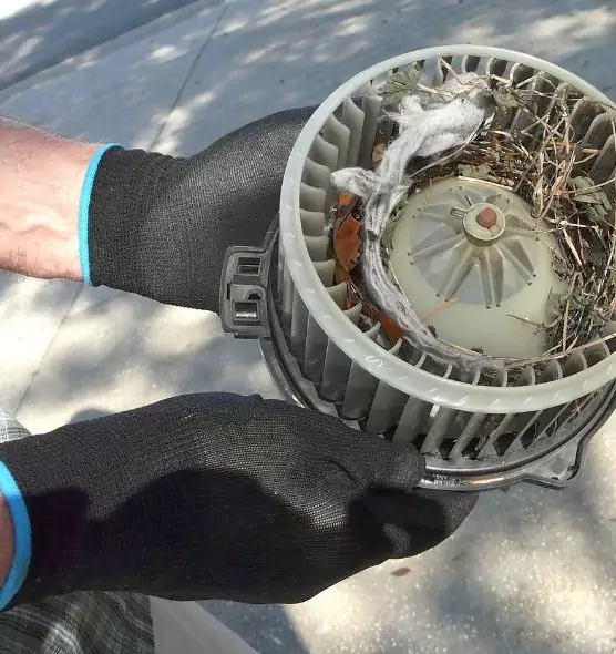 About Air Duct Rat Removal in North Canton, OH