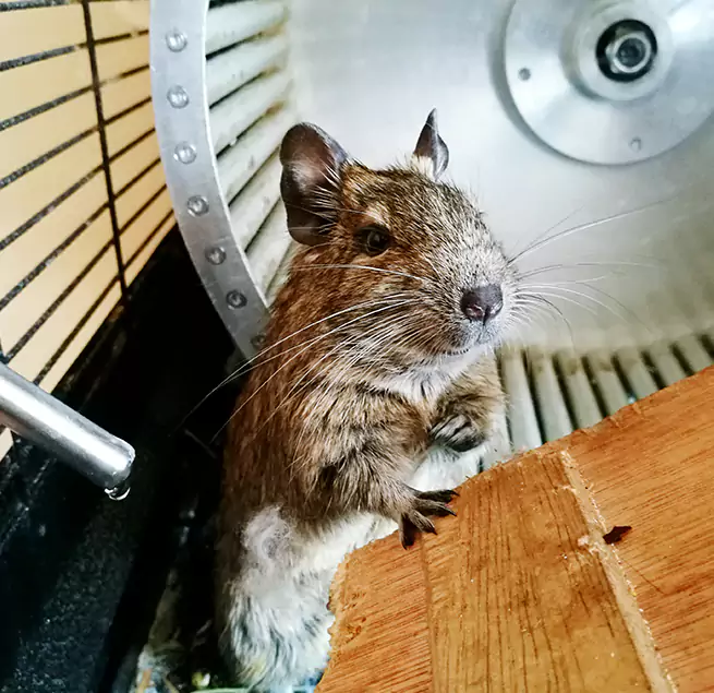 Why Homeowners & Businesses Trust Us North Canton, OH?